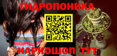 сатива Заводоуковск